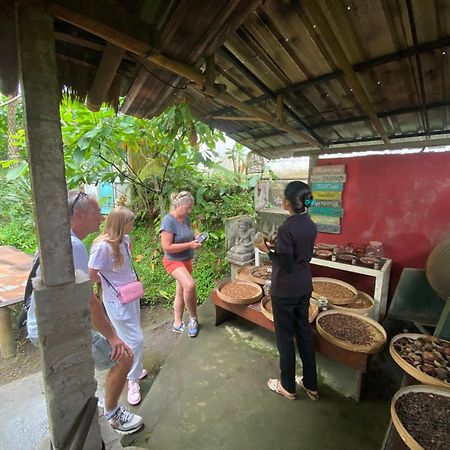 Badini Homestay Pemuteran Extérieur photo